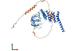 AlphaFold protein structure predicition of Human Recombinant FKBPL Protein, UniprotID Q9UIM3