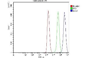 Flow Cytometry analysis of 293T cells using anti-DLX2 antibody (ABIN7599936). (DLX2 anticorps  (AA 13-310))