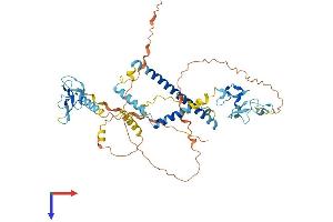 AlphaFold protein structure predicition of Human Recombinant KANSL2 Protein, UniprotID Q9H9L4