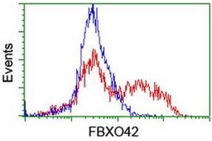 Image no. 2 for anti-F-Box Protein 42 (FBXO42) (AA 356-717) antibody (ABIN1491450)