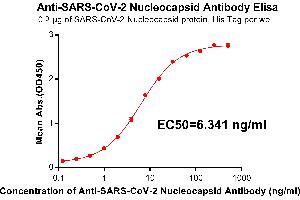 Elisa plate pre-coated by 2 μg/mL(100 μL/well) SARS-CoV-2 Nucleocapsid protein, His Tag(Cat. (SARS-CoV-2 Nucleocapsid anticorps)