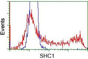 HEK293T cells transfected with either pCMV6-ENTRY SHC1 (RC204362) (Red) or empty vector control plasmid (Blue) were immunostained with anti-SHC1 mouse monoclonal (ABIN2453640), and then analyzed by flow cytometry. (SHC1 anticorps)