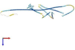 AlphaFold protein structure predicition of Mouse Recombinant Mad1l1 Protein, UniprotID Q9WTX8