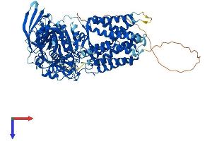 AlphaFold protein structure predicition of Mouse Recombinant Ermp1 Protein, UniprotID Q3UVK0