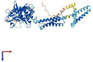AlphaFold protein structure predicition of Human Recombinant ATL1 Protein, UniprotID Q8WXF7