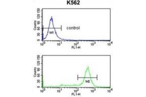 Flow Cytometry (FACS) image for anti-Interleukin 1 Receptor Accessory Protein-Like 2 (IL1RAPL2) antibody (ABIN3003924)