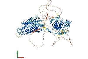 AlphaFold protein structure predicition of Mouse Recombinant Slc12a2 Protein, UniprotID P55012