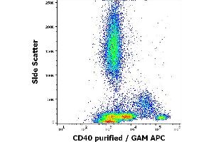 Flow cytometry surface staining pattern of human peripheral whole blood stained using anti-human CD40 (HI40a) purified antibody (concentration in sample 0. (CD40 anticorps)