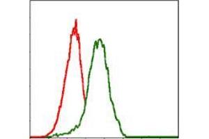 Flow cytometric analysis of Jurkat cells using PDX1 mouse mAb (green) and negative control (red). (PDX1 anticorps)