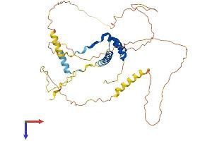 AlphaFold protein structure predicition of Human Recombinant NKX2-3 Protein, UniprotID Q8TAU0