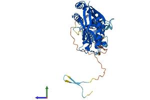 AlphaFold protein structure predicition of Mouse Recombinant Ascc1 Protein, UniprotID Q9D8Z1