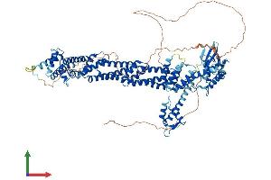 AlphaFold protein structure predicition of Human Recombinant CUL4B Protein, UniprotID Q13620