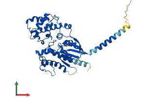 AlphaFold protein structure predicition of Human Recombinant GNAL Protein, UniprotID P38405