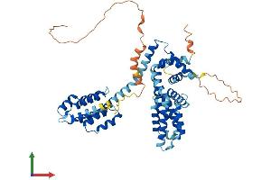 AlphaFold protein structure predicition of Human Recombinant TCP11 Protein, UniprotID Q8WWU5