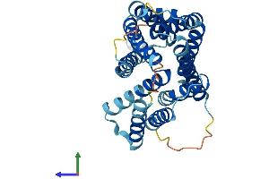 AlphaFold protein structure predicition of Human Recombinant SLC35B1 Protein, UniprotID P78383