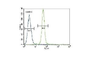 HMOX1 Antibody (Center) (ABIN655187 and ABIN2844803) flow cytometric analysis of A549 cells (right histogram) compared to a negative control cell (left histogram).