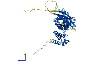 AlphaFold protein structure predicition of Mouse Recombinant Tdpoz1 Protein, UniprotID P0DMR5