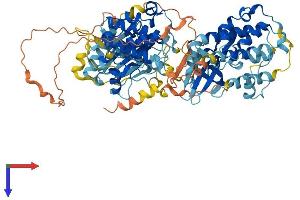 AlphaFold protein structure predicition of Human Recombinant RPS6KA6 Protein, UniprotID Q9UK32