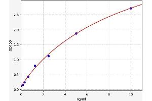 Typical standard curve (SPAG5 Kit ELISA)