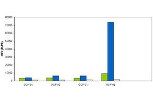 Image no. 2 for anti-Folate Hydrolase (Prostate-Specific Membrane Antigen) 1 (FOLH1) (AA 44-750) antibody (ABIN238408)