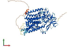 AlphaFold protein structure predicition of Human Recombinant ALG9 Protein, UniprotID Q9H6U8