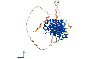 AlphaFold protein structure predicition of Mouse Recombinant Anxa7 Protein, UniprotID Q07076