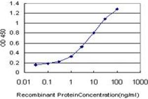 Detection limit for recombinant GST tagged NEK4 is approximately 0. (NEK4 anticorps  (AA 680-781))
