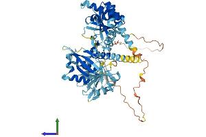 AlphaFold protein structure predicition of Mouse Recombinant Igf2bp1 Protein, UniprotID O88477