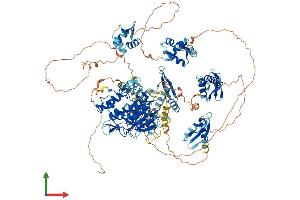 AlphaFold protein structure predicition of Mouse Recombinant Adar Protein, UniprotID Q99MU3
