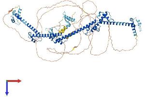 AlphaFold protein structure predicition of Mouse Recombinant Prpf40a Protein, UniprotID Q9R1C7