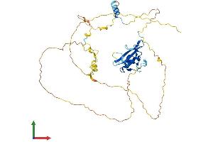 AlphaFold protein structure predicition of Human Recombinant SHF Protein, UniprotID Q7M4L6