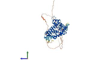 AlphaFold protein structure predicition of Mouse Recombinant Pparg Protein, UniprotID P37238