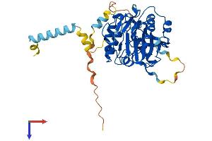 AlphaFold protein structure predicition of Mouse Recombinant B4galt3 Protein, UniprotID Q91YY2
