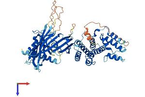AlphaFold protein structure predicition of Human Recombinant ZWILCH Protein, UniprotID Q9H900