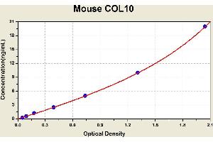 Diagramm of the ELISA kit to detect Mouse COL10with the optical density on the x-axis and the concentration on the y-axis. (COL10 Kit ELISA)
