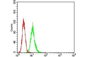Flow cytometric analysis of HeLa cells using ATG7 mouse mAb (green) and negative control (red).