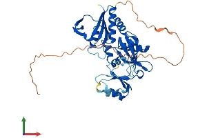 AlphaFold protein structure predicition of Mouse Recombinant Rimkla Protein, UniprotID Q6PFX8