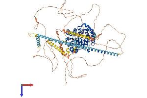 AlphaFold protein structure predicition of Mouse Recombinant Hdac4 Protein, UniprotID Q6NZM9