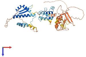AlphaFold protein structure predicition of Mouse Recombinant Nrf1 Protein, UniprotID Q9WU00