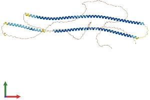 AlphaFold protein structure predicition of Mouse Recombinant Krt5 Protein, UniprotID Q922U2