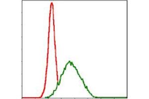 Flow cytometric analysis of MCF-7 cells using MSH6 mouse mAb (green) and negative control (red).