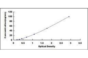 Complement Component 4 Binding Protein, alpha (C4BPA) ELISA Kit