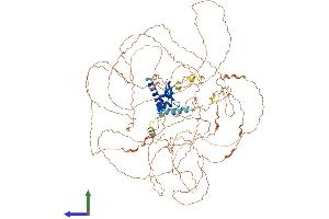 AlphaFold protein structure predicition of Mouse Recombinant Rnf111 Protein, UniprotID Q99ML9