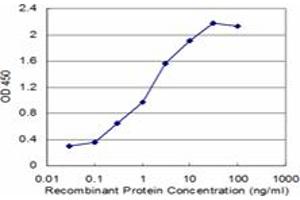 Detection limit for recombinant GST tagged RBM6 is approximately 0.