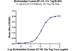 Immobilized Anti-B7-H3 Antibody, hFc Tag at 1 μg/mL (100 μL/well) on the plate.