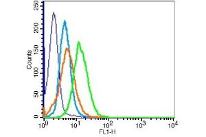 HeLa cells probed with Estrogen receptor beta Polyclonal Antibody, Unconjugated  at 1:100 for 30 minutes followed by incubation with a conjugated secondary -PE) (green) for 30 minutes compared to control cells (blue), secondary only (light blue) and isotype control (orange). (ESR2 anticorps  (AA 201-300))