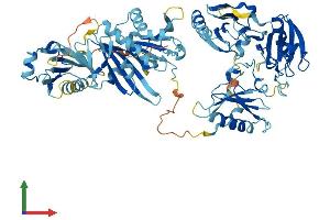 AlphaFold protein structure predicition of Mouse Recombinant Scin Protein, UniprotID Q60604