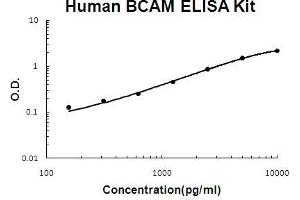 Human BCAM PicoKine ELISA Kit standard curve (BCAM Kit ELISA)