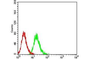 Flow cytometric analysis of HL-60 cells using CD101 mouse mAb (green) and negative control (red).