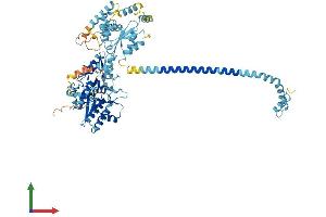 AlphaFold protein structure predicition of Human Recombinant AK7 Protein, UniprotID Q96M32